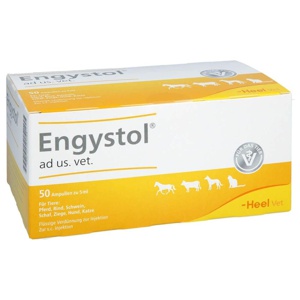 ENGYSTOL ad us.vet.Ampullen Produktbild