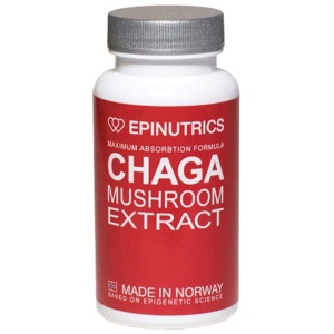 EPI-Chaga - 60 kapsler produktbillede