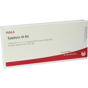 EPIPHYSIS GL D 5 Ampullen Produktbild