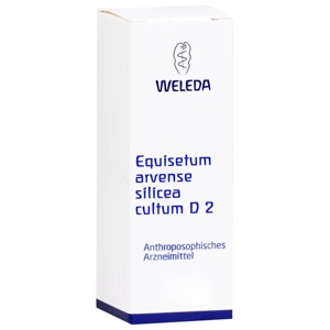 EQUISETUM ARVENSE Silicea cultum D 2 Dilution Produktbild
