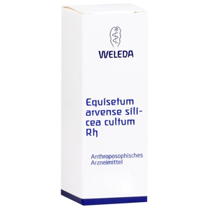 EQUISETUM ARVENSE Silicea cultum Rh D 3 Dilution Produktbild