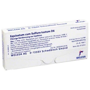 EQUISETUM CUM Sulfure tostum D 6 Ampullen Produktbild