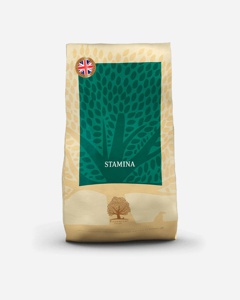 Essential Foods Stamina 10 kg Energirigt hundefoder til aktive hunde produktbillede