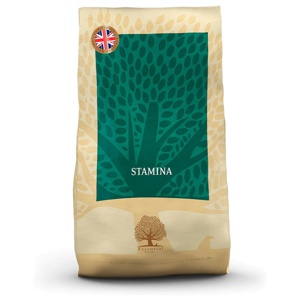 Essential Foods Stamina Torrfoder till Hund 10 kg produkt bild