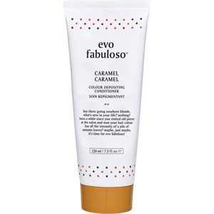 Evo Colour Depositing Conditioner produktbillede