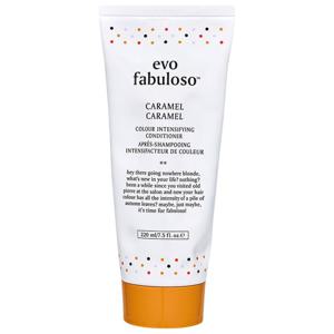 Evo Fabuloso Colour Intensifying Conditioner Caramel produkt bild