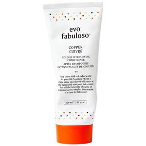 Evo Fabuloso Platinum Blonde Colour Depositing Conditioner 30ml produkt bild