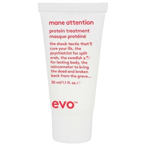 Evo Mane Attention Masque 30 ml produkt bild