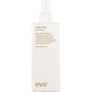 Evo Salty Dog Salt Spray 200 ml Produktbild