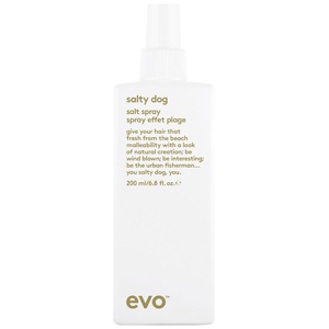 Evo Salty Dog Salt Spray produktbillede