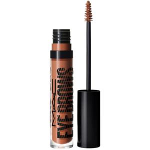 Eye Brows Big Boost Fibre Gel Penny produkt bild