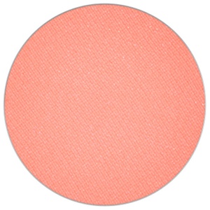 Eye Shadow Pro Palette Refill Shell Peach produkt bild