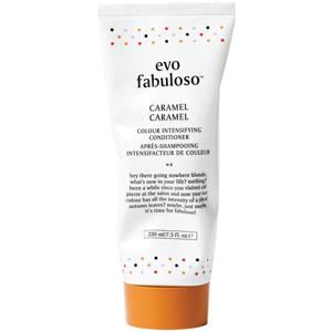 Evo Colour Depositing Conditioner produkt bild