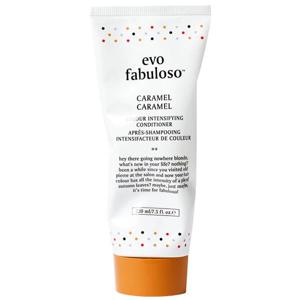 Evo Fabuloso Colour Intensifying Conditioner Caramel produkt bild