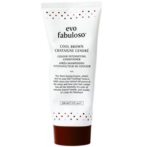 Evo Fabuloso Cool Brown 220 ml produkt bild
