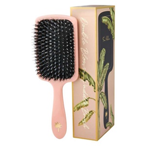 Fan Palm Large Paddle Brush Double Bloom produktbilde