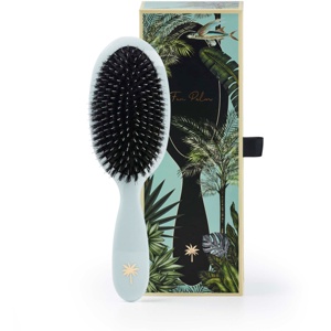 Fan Palm Medium Maldives Brush Produktbild