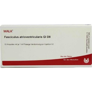 Fasciculus atrioventr. GL D 8 Ampullen, 10X1 ml Ampullen Produktbild