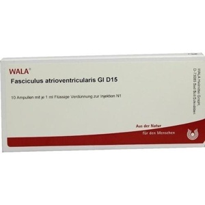 FASCICULUS atrioventricularis GL D 15 Ampullen Produktbild