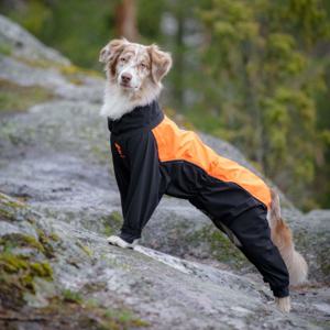 Feel Active Helsingborg Hundoverall Reflex Svart/Orange (25 cm) produkt bild