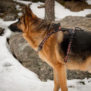 Feel Active Outdoor Hundsele med Ficka Svart (XL) produkt bild