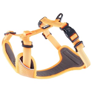 Feel Active Reflective Hundsele Orange produkt bild