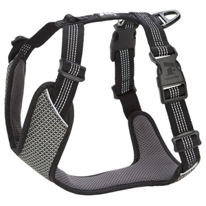 Feel Active Reflective Sele Svart (XS) produkt bild