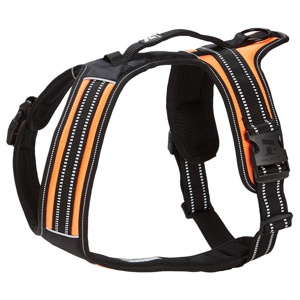 Feel Active Sport Sele Orange produkt bild