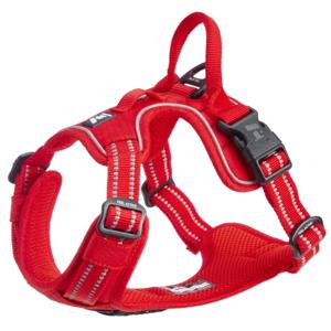 Feel Active Training Hundsele Röd produkt bild