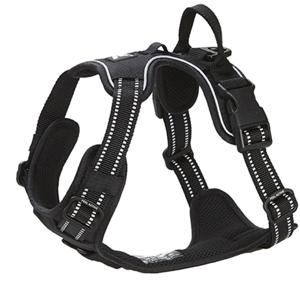 Feel Active Training Hundsele Svart (XS) produkt bild