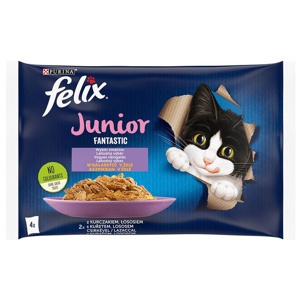 Felix Junior Fantastic Lachs & Huhn Produktbild