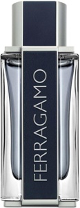 Ferragamo Ferragamo Men Eau de Toilette 100 ml produktbilde