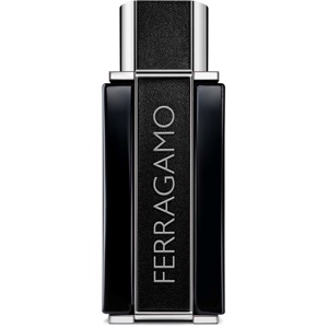 Ferragamo Sublime Leather Eau de Parfum 100 ml Produktbild