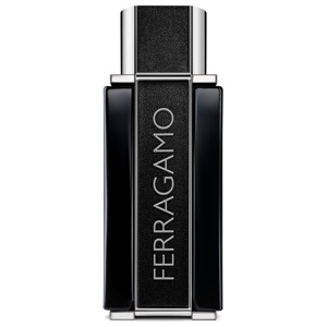 Ferragamo Sublime Leather Eau de parfum 100ml produktbillede
