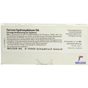 FERRUM HYDROXYDATUM D 6 Ampullen Produktbild