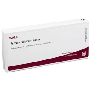 FERRUM SILICICUM comp.Ampullen Produktbild