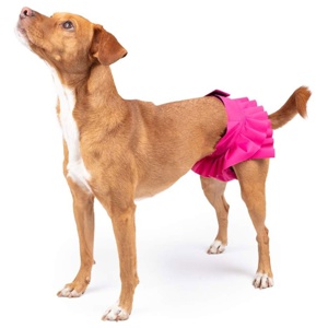 FinNero Ballerina Tikskydd Rosa produkt bild