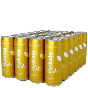 24 x Hydrate Kolsyrat Kokosvatten Flak 330 ml - Ginger produkt bild