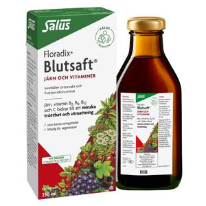 Floradix Blutsaft 250ml produkt bild