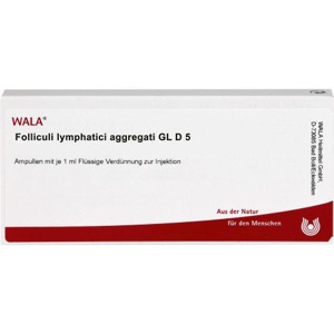 FOLLICULI LYMPHATICI aggregati GL D 5 Ampullen Produktbild