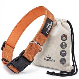 Freudentier Hundehalsband, leicht & komfortabel, Clyde Kollektion orange S Produktbild