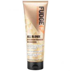 Fudge All Blonde Colour Boost schampo 250 ml produkt bild