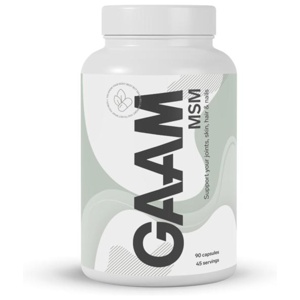 GAAM MSM 90 caps produkt bild