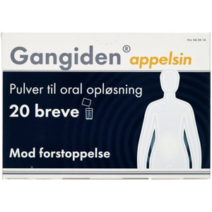 Gangiden produktbillede