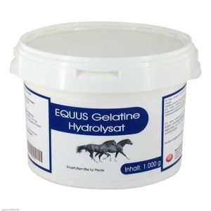 Gelatine Hydrolysat Equus Pu, 1000 g Pulver Produktbild