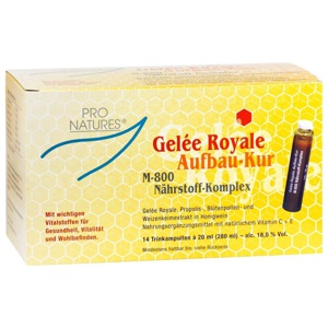 GELEE ROYAL Aufbaukur M800 Trinkampullen Produktbild