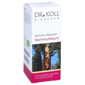 GEMMO-MAZERAT Mammutbaum Dr.Koll Sequoia giga.Tro. Produktbild