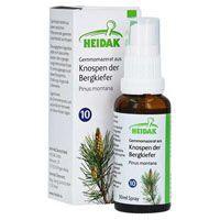 GEMMO-MAZERAT Pinus montana Spray Produktbild