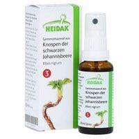 GEMMO-MAZERAT Ribes nigrum Spray Produktbild