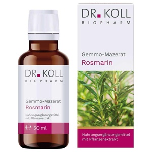 Gemmo-Mazerat Rosmarin Dr. Koll Rosmarinus officinale Tropfen, 50 ml Tropfen Produktbild